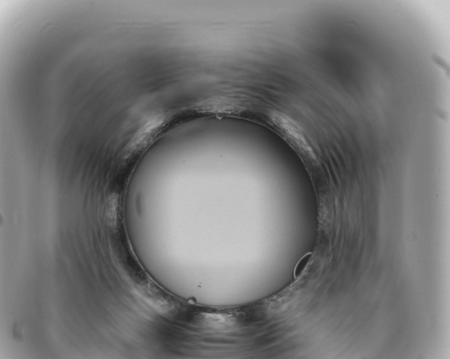 X0000095890167200801251210