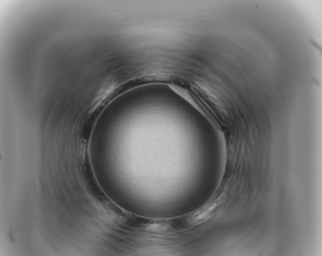 X0000095890168200801251210