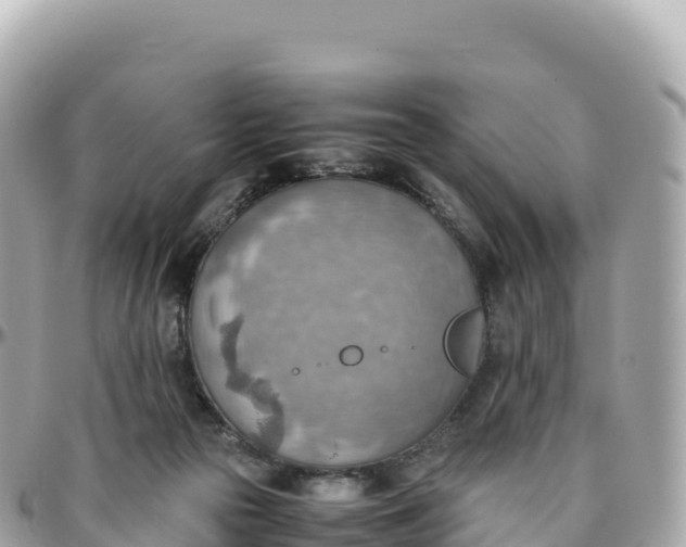 X0000095890169200801251210