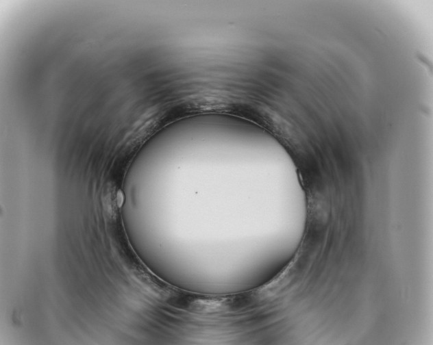 X0000095890170200801251210