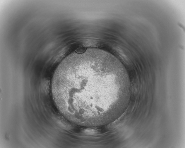 X0000095890171200801251210