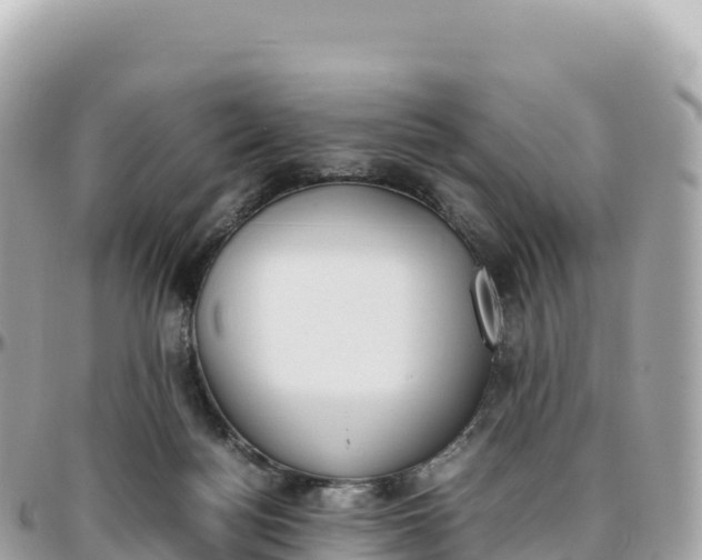 X0000095890172200801251210