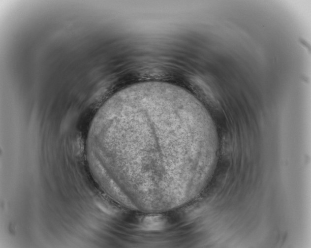 X0000095890173200801251210