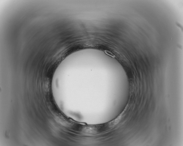 X0000095890174200801251210