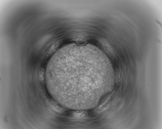 X0000095890175200801251210