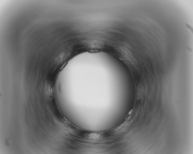 X0000095890176200801251210