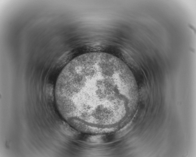 X0000095890178200801251210