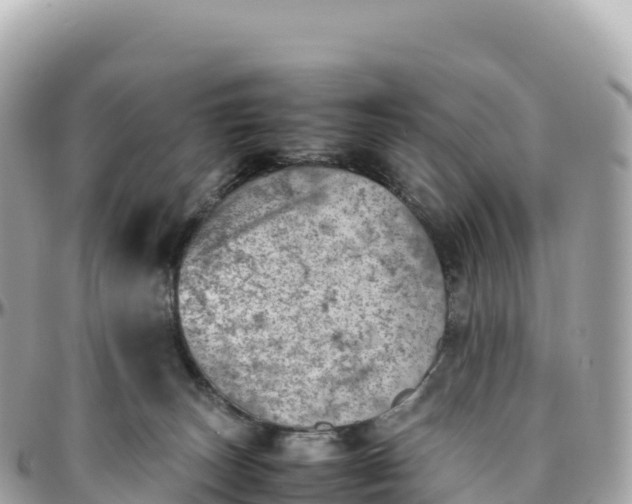 X0000095890179200801251210