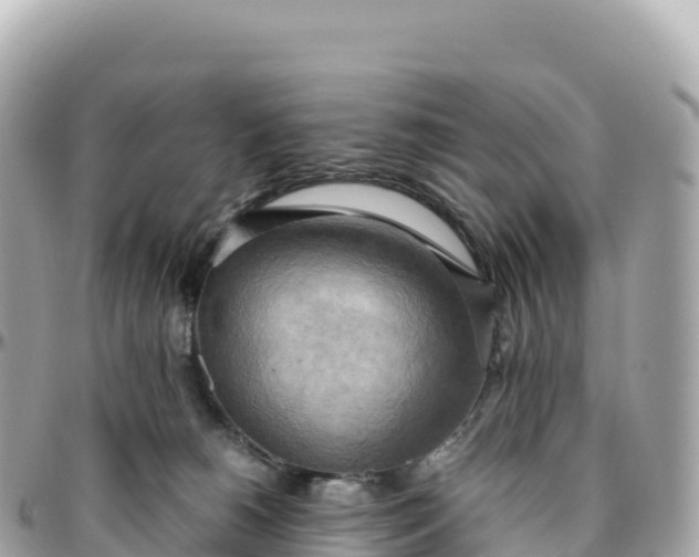 X0000095890180200801251210