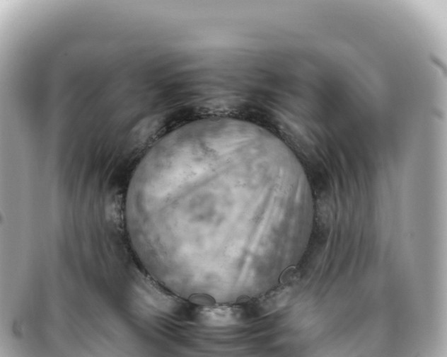 X0000095890181200801251210