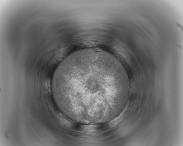 X0000095890182200801251210