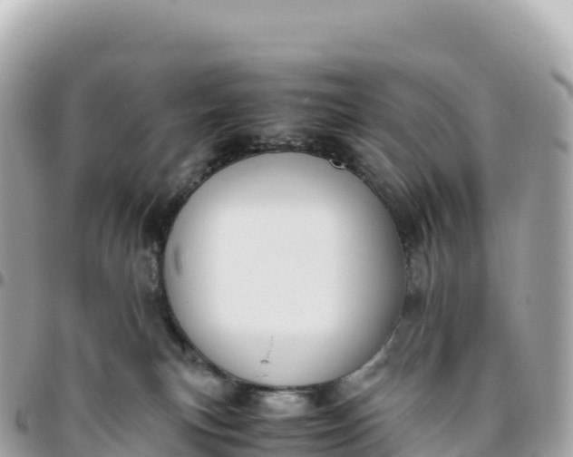 X0000095890183200801251210