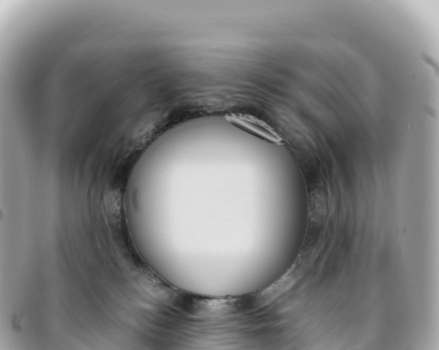 X0000095890184200801251210