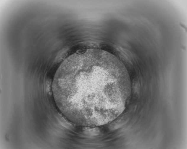 X0000095890185200801251210