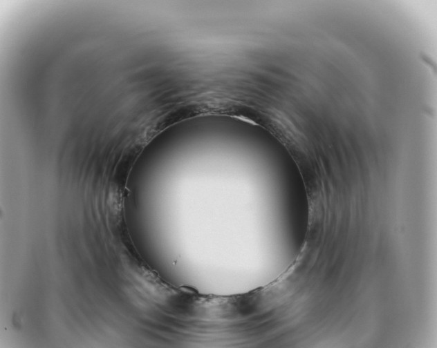 X0000095890186200801251210