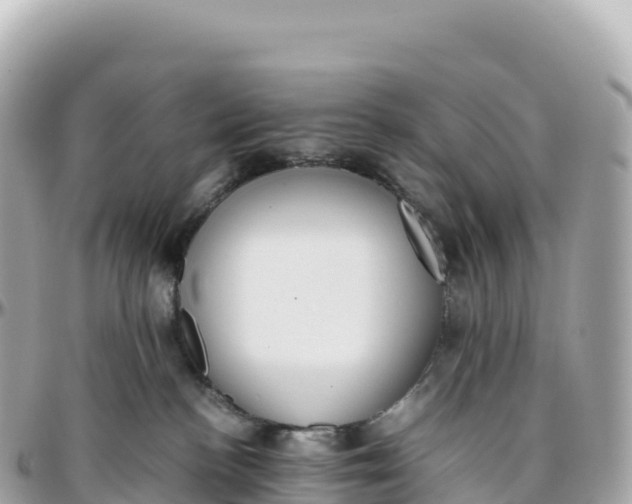 X0000095890188200801251211