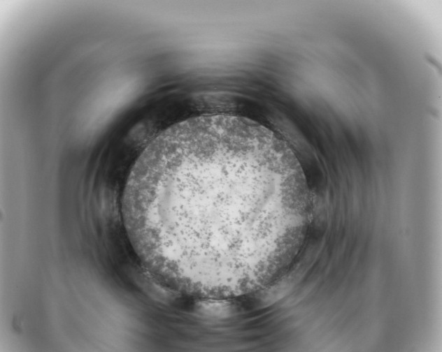 X0000095890189200801251211