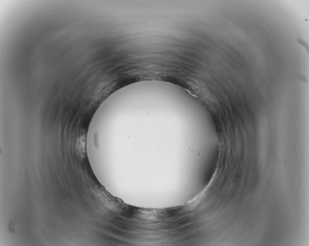 X0000095890190200801251211