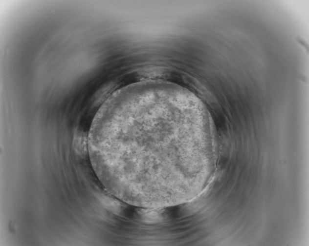 X0000095890191200801251211