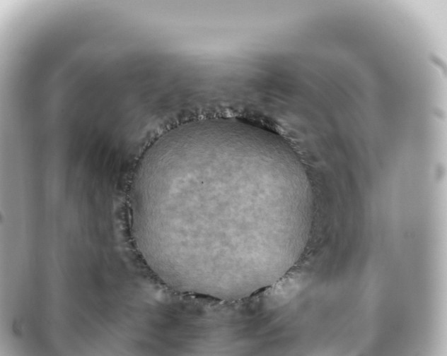 X0000095890192200801251211