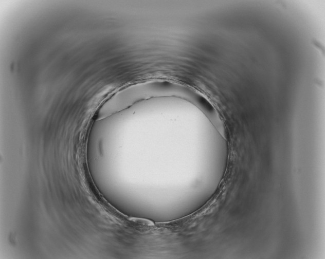 X0000095890193200801251210