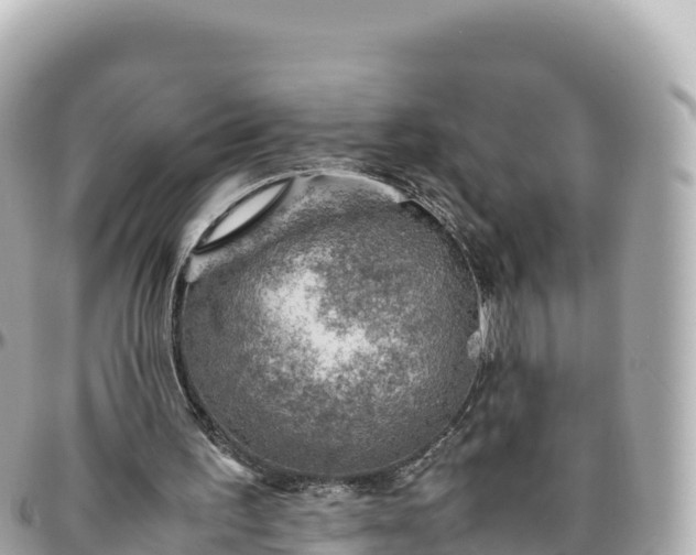 X0000095890195200801251210