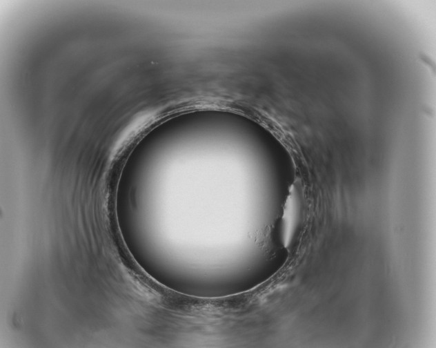 X0000095890197200801251210