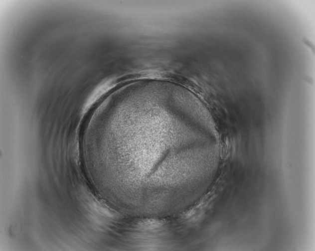 X0000095890198200801251210