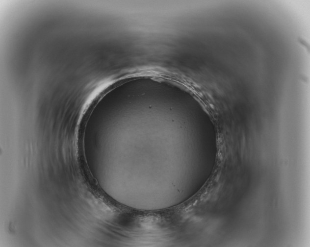 X0000095890200200801251210