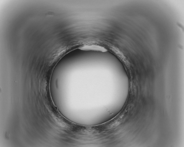 X0000095890201200801251210