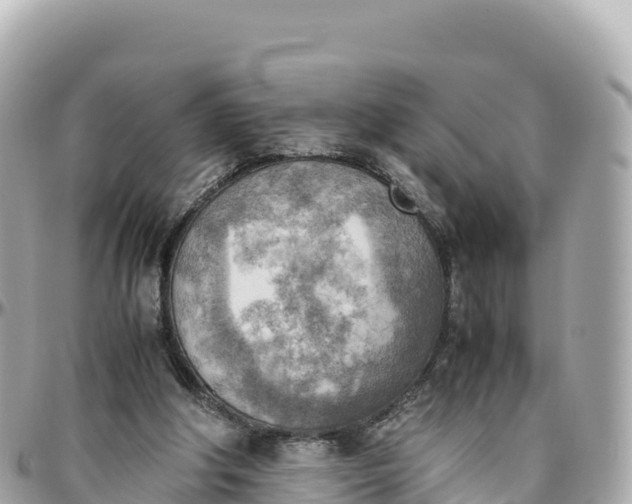 X0000095890202200801251210