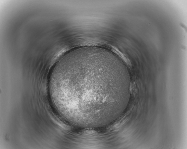 X0000095890203200801251210