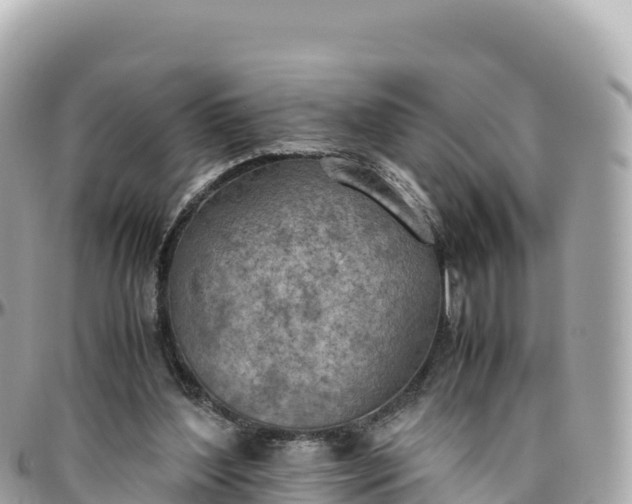 X0000095890204200801251210