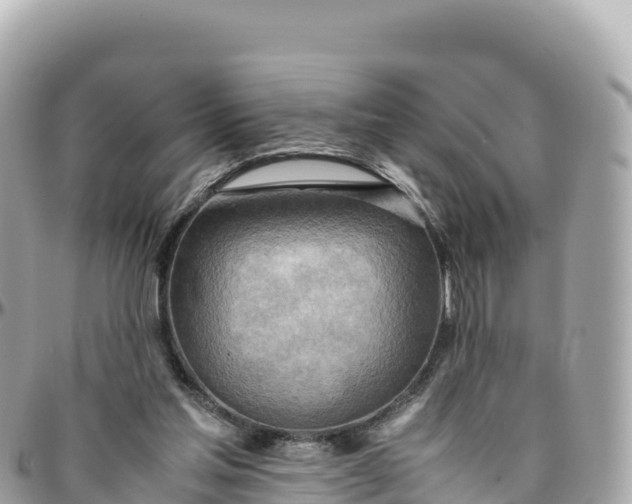 X0000095890205200801251210