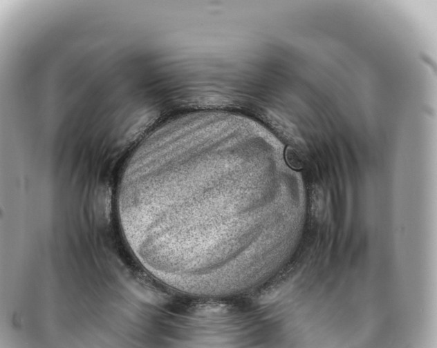 X0000095890206200801251210