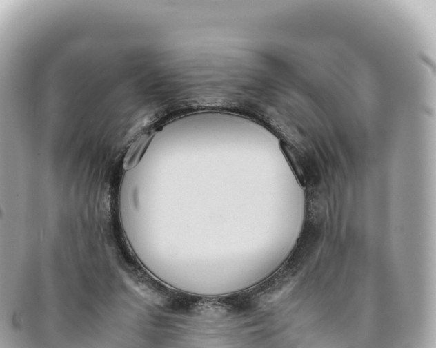 X0000095890207200801251210