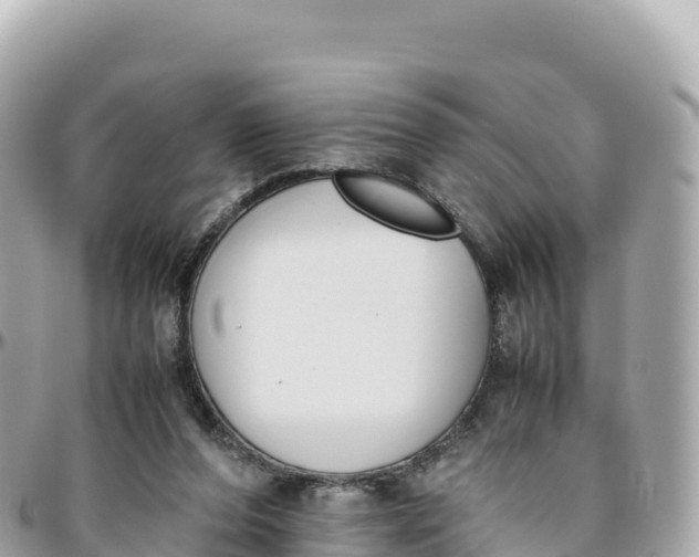 X0000095890208200801251210