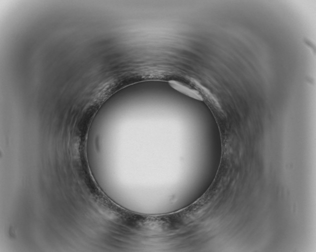 X0000095890209200801251210