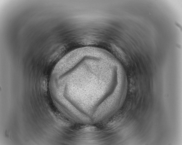 X0000095890210200801251210