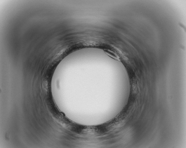 X0000095890211200801251210