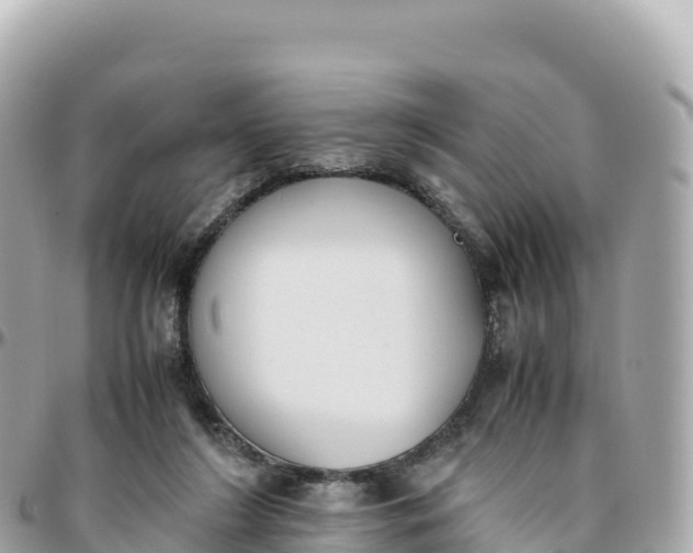 X0000095890212200801251210