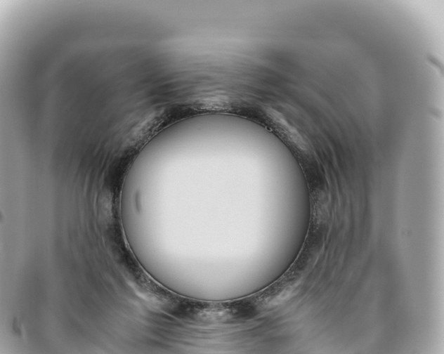 X0000095890213200801251210