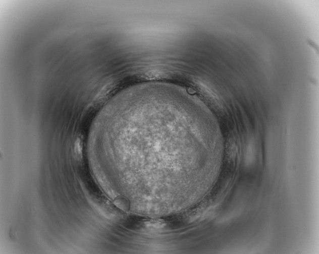 X0000095890214200801251210