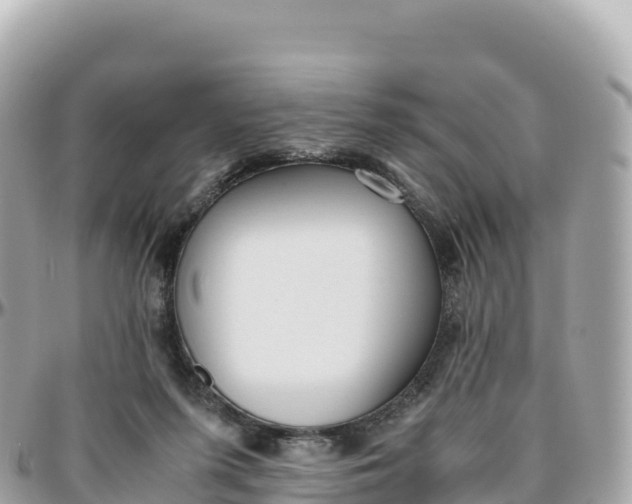 X0000095890215200801251210