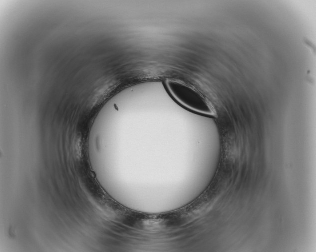 X0000095890216200801251210