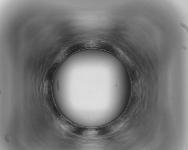 X0000095890217200801251210