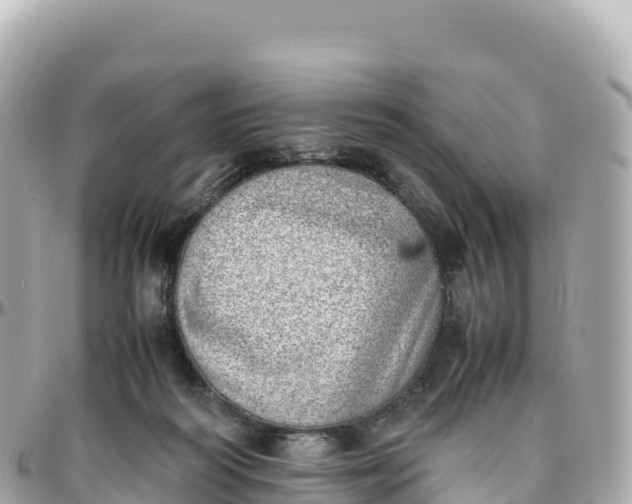 X0000095890218200801251210