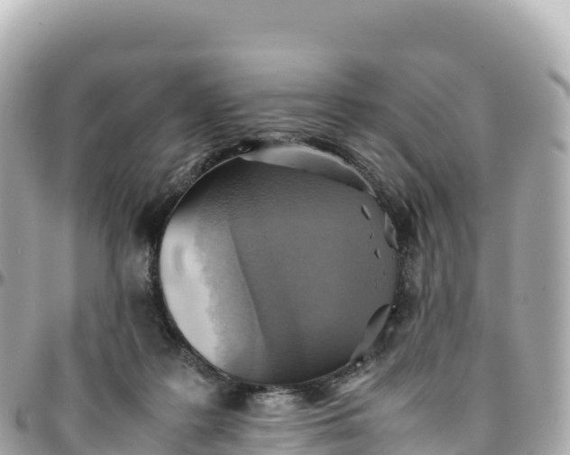 X0000095890219200801251210