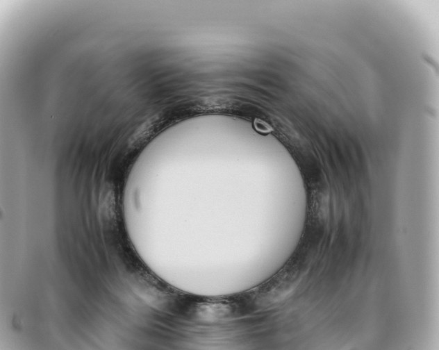 X0000095890220200801251210