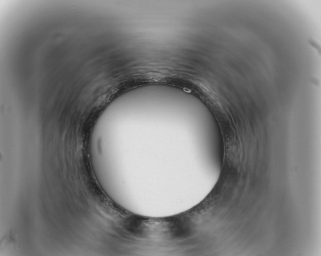 X0000095890221200801251210